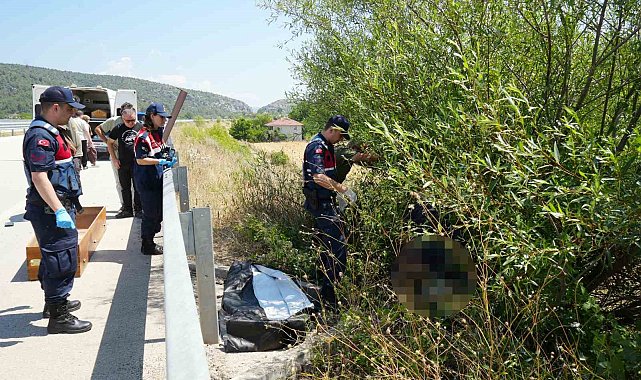 Otomobilin çarptığı bisikletli ağacın altında ölü bulundu, kaçan sürücü kısa sürede yakalandı