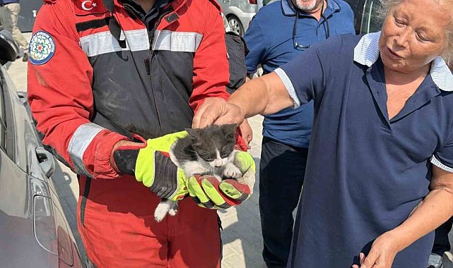 Otomobilin motor bölümüne sıkışan kedi kurtarıldı