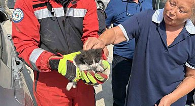 Otomobilin motor bölümüne sıkışan kedi kurtarıldı