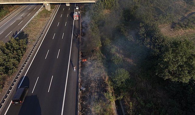 Otoyolda korkutan yangın: Yol kenarına atılan izmarit yangın çıkarttı