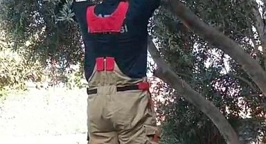 Patisi ağacın dalına sıkışan kedinin yardımına itfaiye yetişti