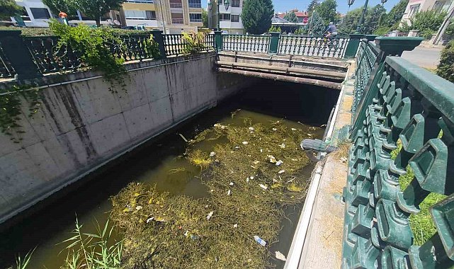Porsuk Çayı'ndaki çöp kirliliği dikkat çekti