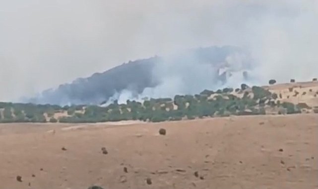 Pütürge'de orman ve örtü yangını