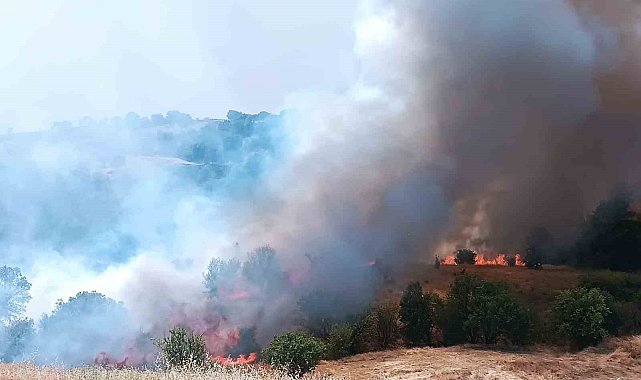 Pütürge'de orman ve örtü yangınına havadan müdahale