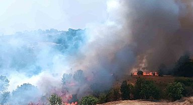 Pütürge'de orman ve örtü yangınına havadan müdahale