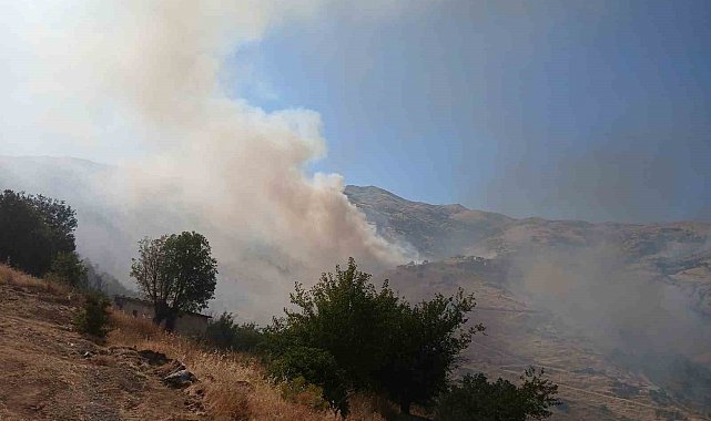 Pütürge'deki arazi yangınına müdahale sürüyor