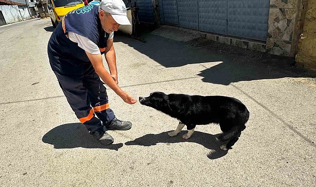 Sahibi ölen "Dayı"yı yalnız bırakmayan temizlik görevlisinin kalp ısıtan hikayesi