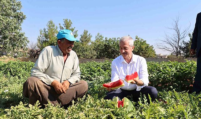 Şahinbey'den çiftçilere 53 milyon fide desteği