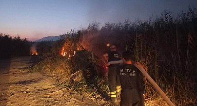 Samandağ'da kamışlık yangını
