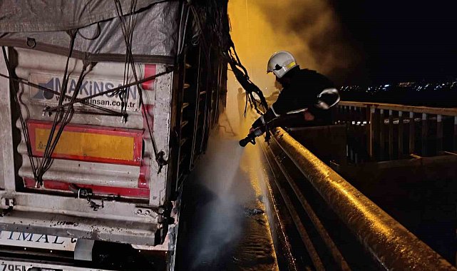Şanlıurfa'da sebze yüklü tır alev alev yandı