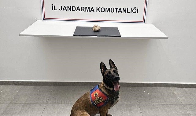 Şanlıurfa'da uyuşturucu operasyonu: 1 tutuklama