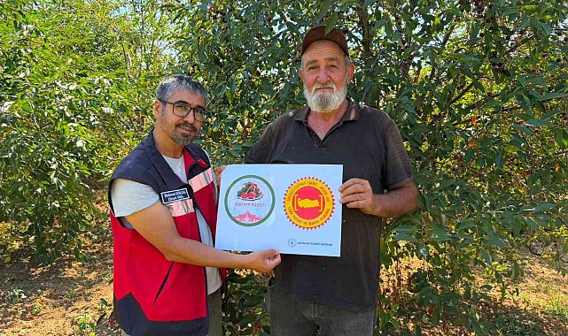 Şaphane Vişnesi için tescil çalışmaları sürüyor