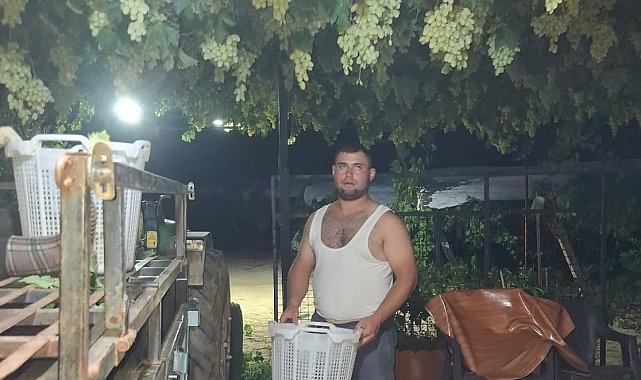 Sarıgöl'de üzüm için gece mesaisi