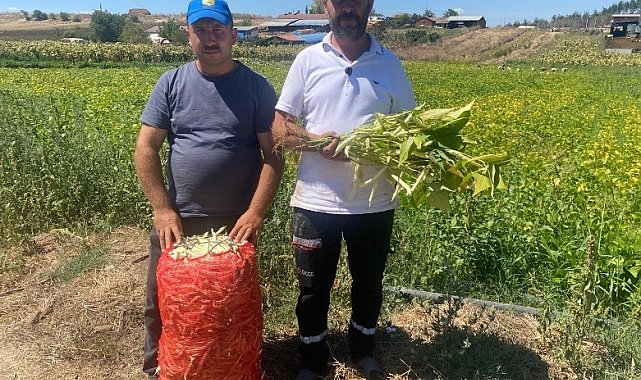 Şeker fasulye yüzleri güldürdü