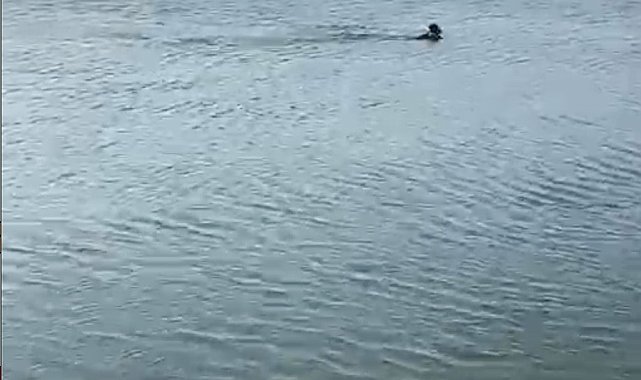 Serinlemek için girdiği göletten cansız bedeni çıktı