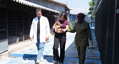 Sessiz canlar hayvanseverleri bekliyor