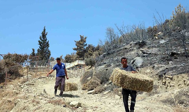 Seydikemer'de yaralar hızla sarılıyor