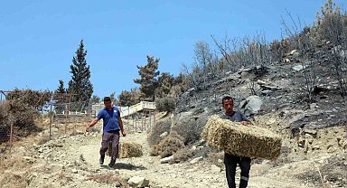 Seydikemer'de yaralar hızla sarılıyor