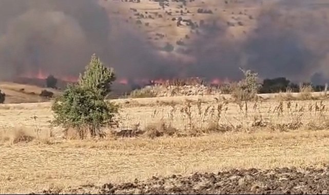 Seyitgazi'de tarım arazisinde yangın çıktı