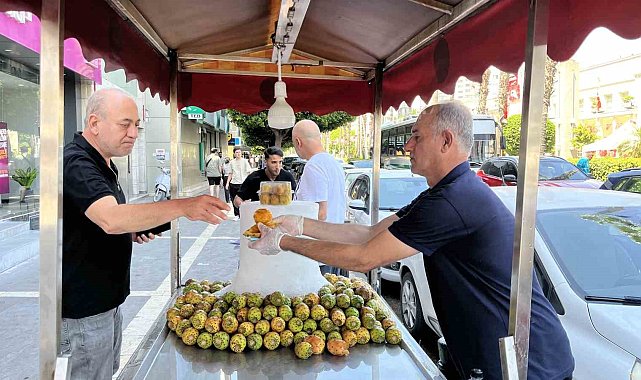 Sıcaklarla birlikte dikenli incir satışları arttı