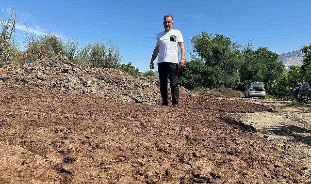 Sıfır kimyasal sıfır maliyet: Bedava hayvansal gübreyle üretim yapıyor