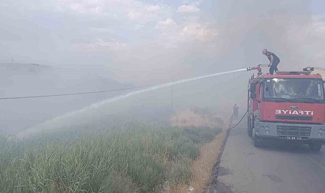Siirt Üniversitesi Kezer yerleşkesi yakınlarında örtü yangını: 100 dönümden fazla alan zarar gördü