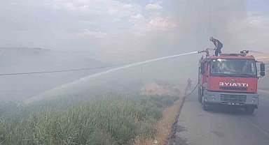 Siirt Üniversitesi Kezer yerleşkesi yakınlarında örtü yangını: 100 dönümden fazla alan zarar gördü