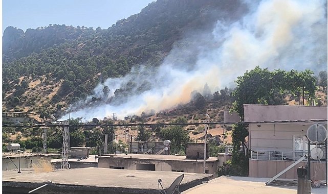 Siirt'te orman yangını büyümeden kontrol altına alındı