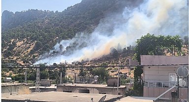 Siirt'te orman yangını büyümeden kontrol altına alındı