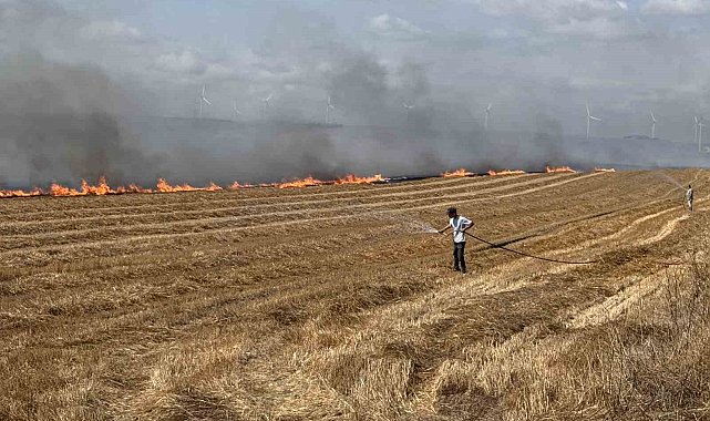 Silivri'de tarla yangınına havadan müdahale ediliyor