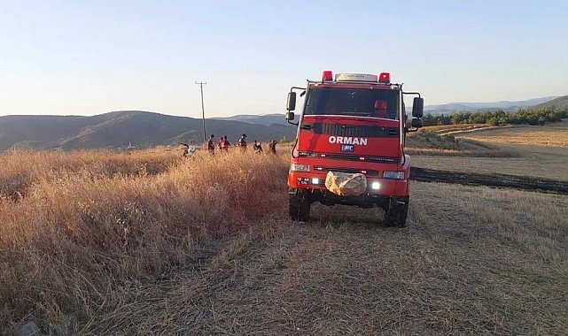 Sinop'ta anız yangını korkuttu