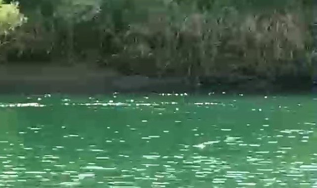 Şırnak'ta 4 kadının bindiği bot devrildi: 1 ölü