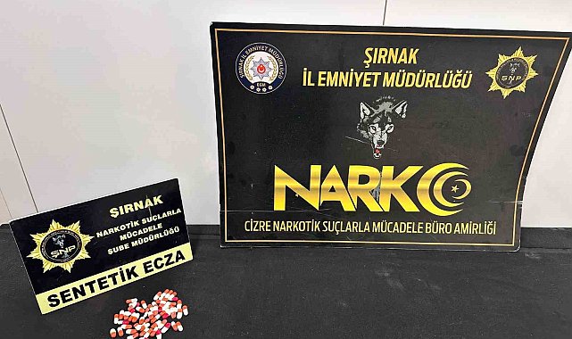 Şırnak'ta asayiş ve narkotik operasyonları düzenlendi