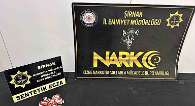 Şırnak'ta asayiş ve narkotik operasyonları düzenlendi