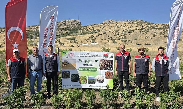 Şırnak'ta TAKE Projesi kapsamında sebze hasadı gerçekleştirildi