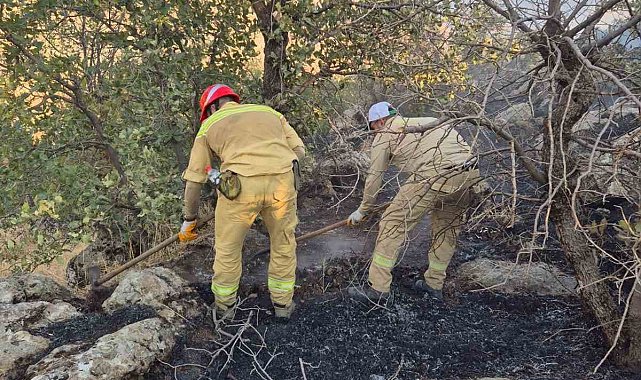Şirvan'da ormanlık alanda çıkan yangın söndürüldü