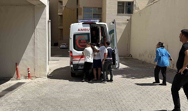 Siverek'te Fırat Nehri'ne giren 2 kişi boğuldu