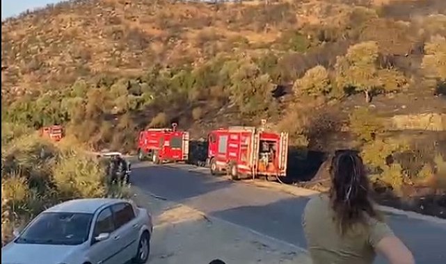 Söke'deki orman yangını kontrol altına alındı