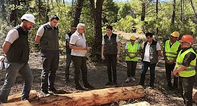 Soma ormanlarında yangın riskine karşı yoğun çalışma