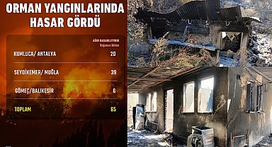 Son orman yangınlarında hasar ne kadar?