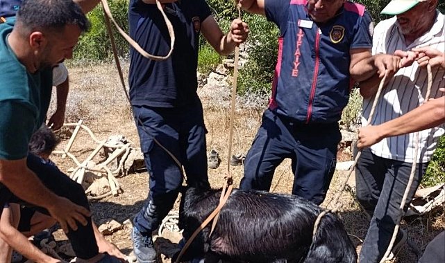 Su kuyusuna düşen keçi itfaiyenin operasyonuyla kurtarıldı