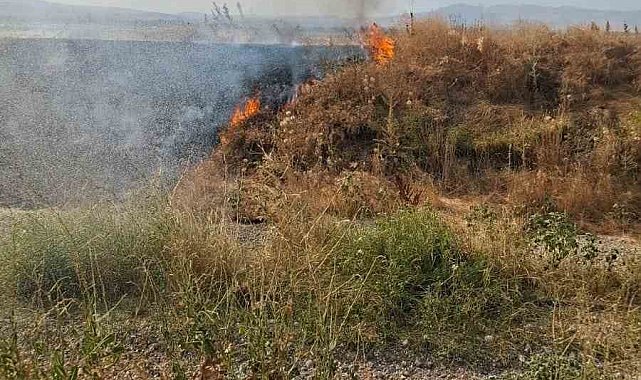 Şuhut'ta anız yangını paniğe neden oldu