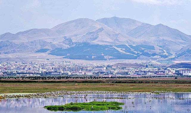 Tarihin tozlu sayfalarından ortaya çıkan bir gerçek: II. Abdülhamid'in Baş İstihbaratçısı Erzurum petrolünün peşindeydi