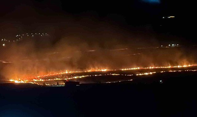 Tatvan'da makilik alanda yangını: Yaklaşık 300 dönüm alan kül oldu