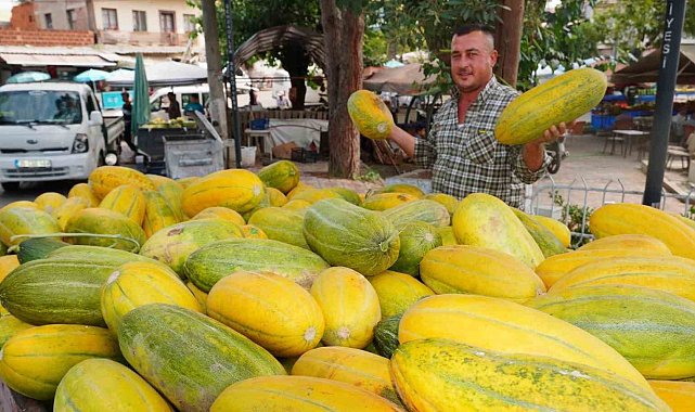 Tavan arasından çıkan tohumlar Altınbaş Kavununu yeniden canlandırdı