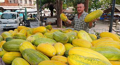 Tavan arasından çıkan tohumlar Altınbaş Kavununu yeniden canlandırdı