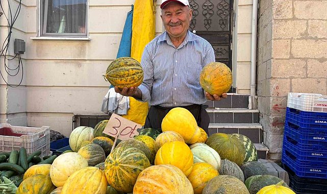 Tavşanlı'nın meşhur Kışlademirli kavunu pazara indi