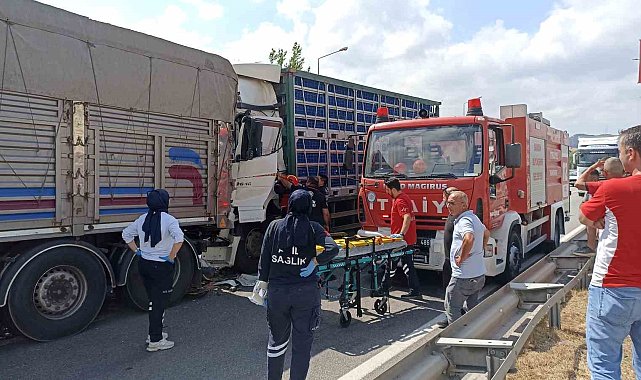 Tavuk yüklü tır, önündeki kamyona çarptı: 2 yaralı