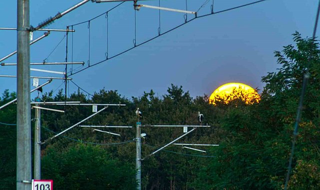 TCDD'den göçmen kuşlar için kapsamlı çalışma