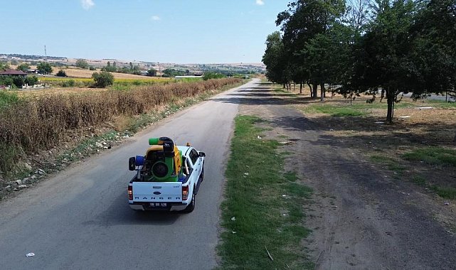 Tekirdağ il genelinde vektörlere karşı mücadele çalışmaları